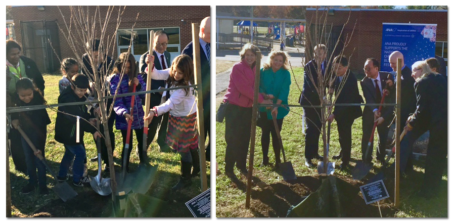 Two color photographs of the cherry tree planting ceremony. On the left, a group of five students shovel dirt onto the base of the tree. On the right Principal Choate, Hideki Kunugi, and several Fairfax County School Board members pose with shovels next to the tree.